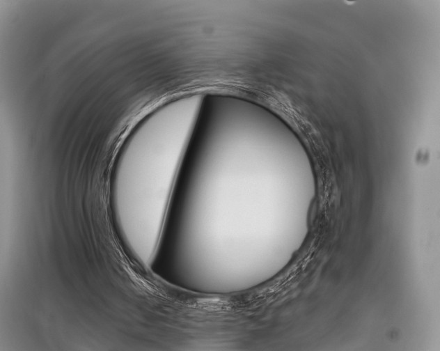 X0000097910050200803141038
