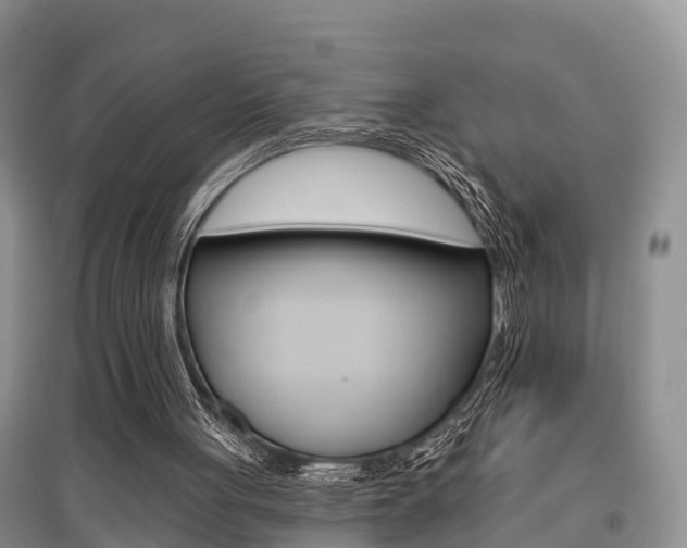 X0000097910051200803141038