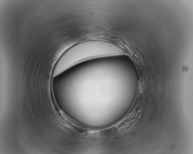 X0000097910052200803141038