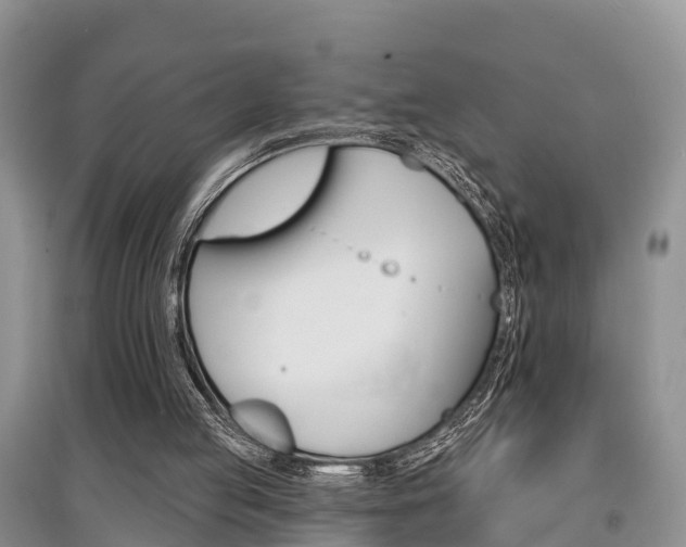 X0000097910053200803141038