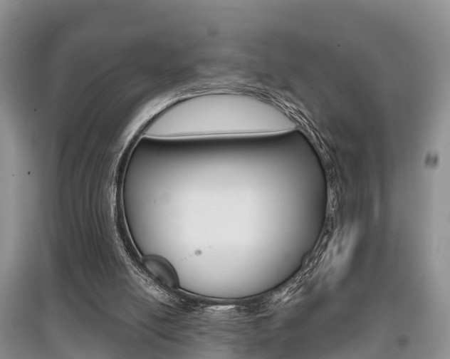 X0000097910054200803141038