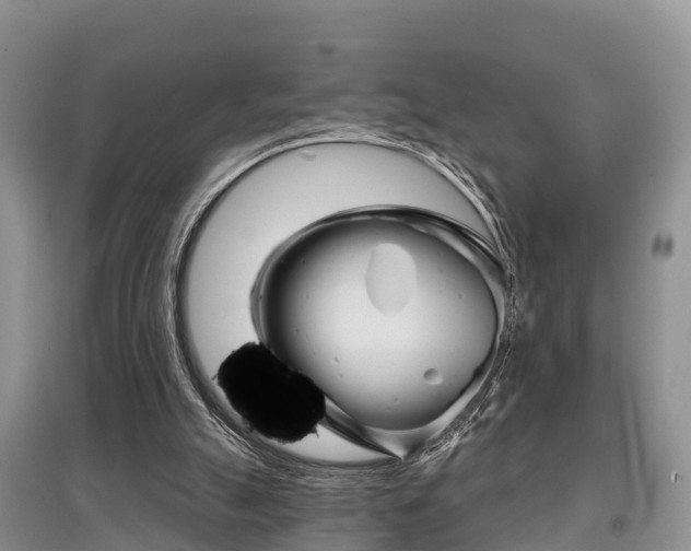 X0000097910055200803141038