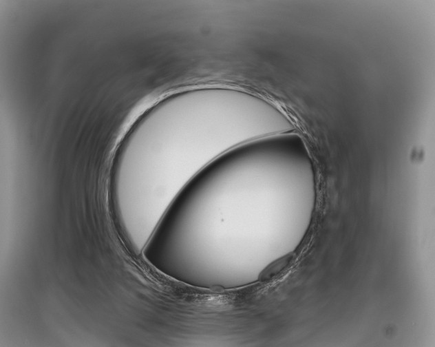 X0000097910056200803141038