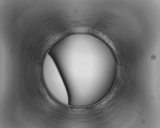 X0000097910057200803141038