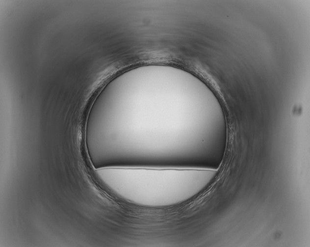 X0000097910059200803141038