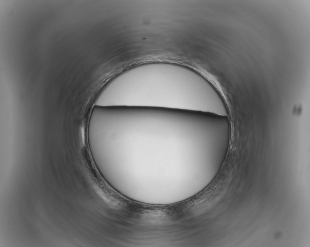 X0000097910061200803141038
