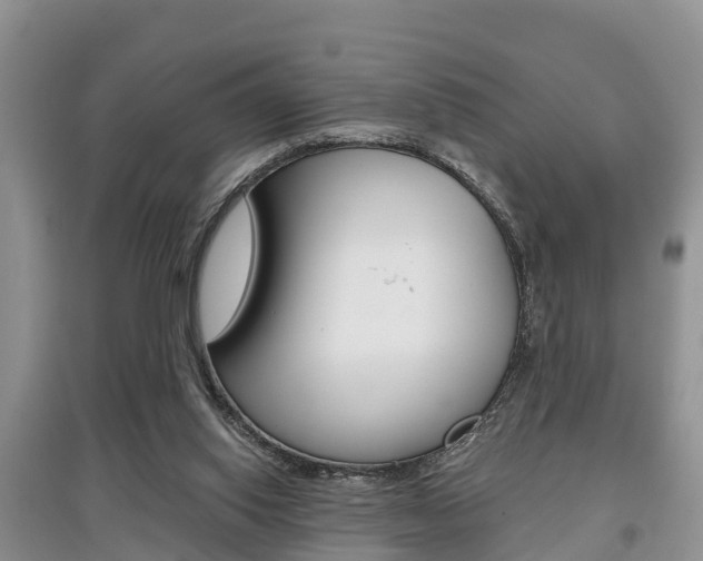 X0000097910062200803141038