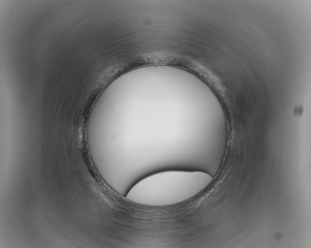 X0000097910065200803141038