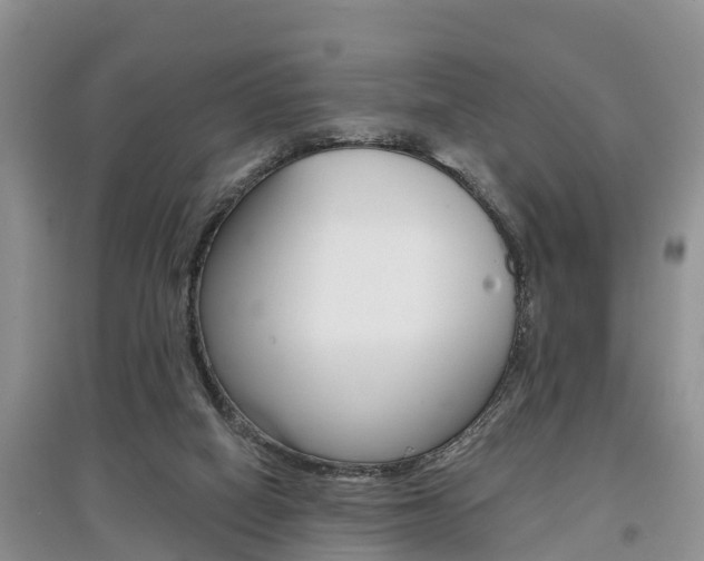 X0000097910066200803141038
