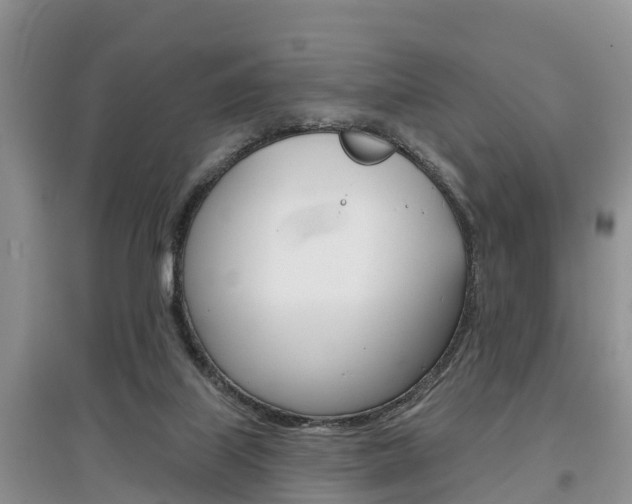 X0000097910067200803141038