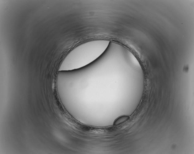 X0000097910069200803141038