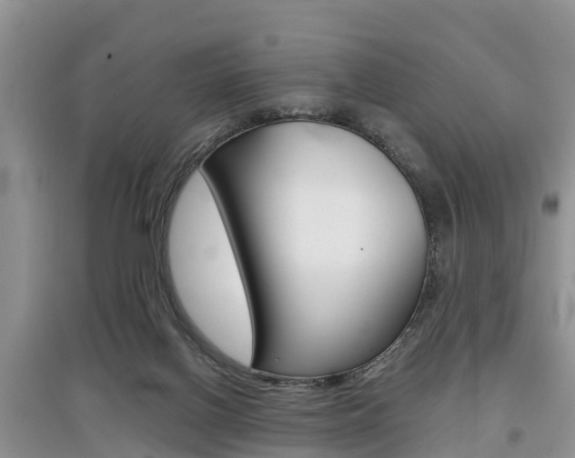 X0000097910070200803141038
