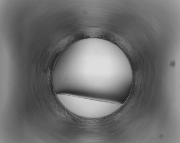 X0000097910073200803141038
