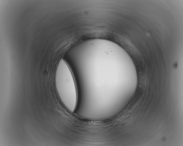 X0000097910077200803141039
