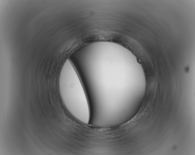 X0000097910078200803141039