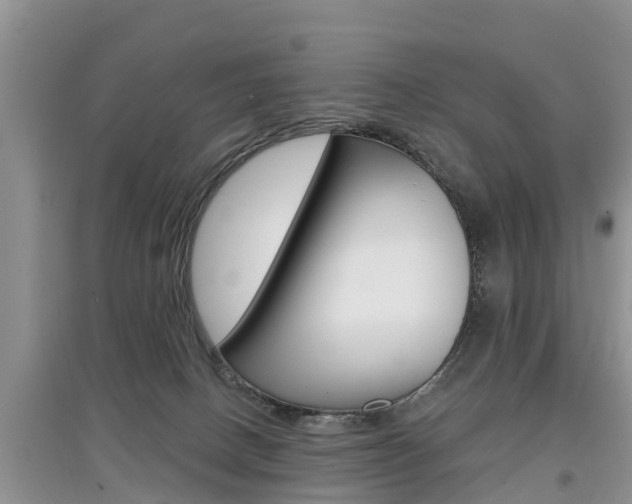 X0000097910082200803141039