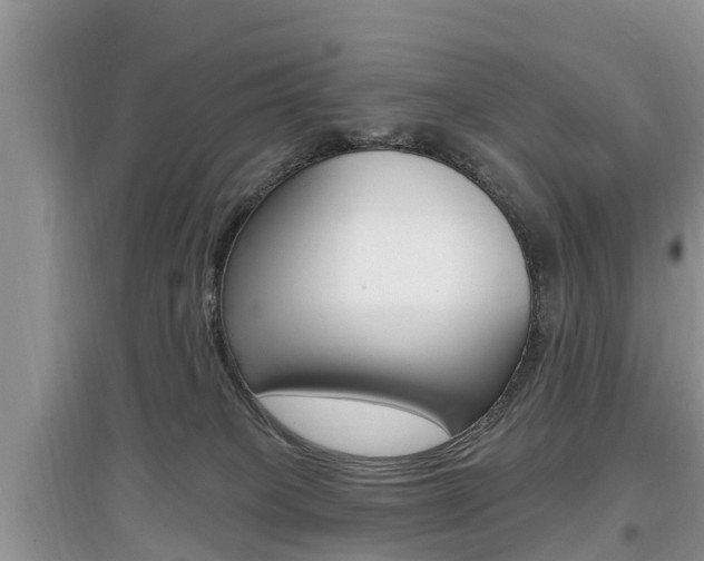 X0000097910085200803141039