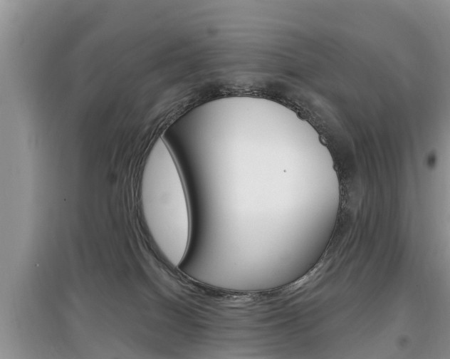 X0000097910086200803141039