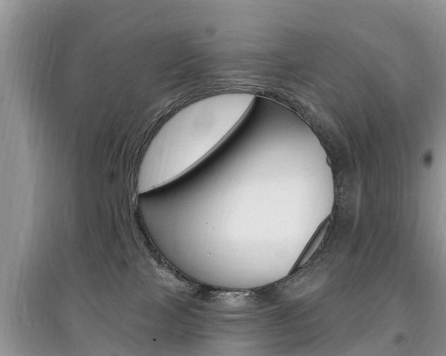 X0000097910089200803141039