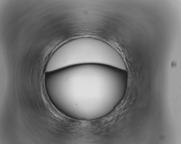X0000097910097200803141038