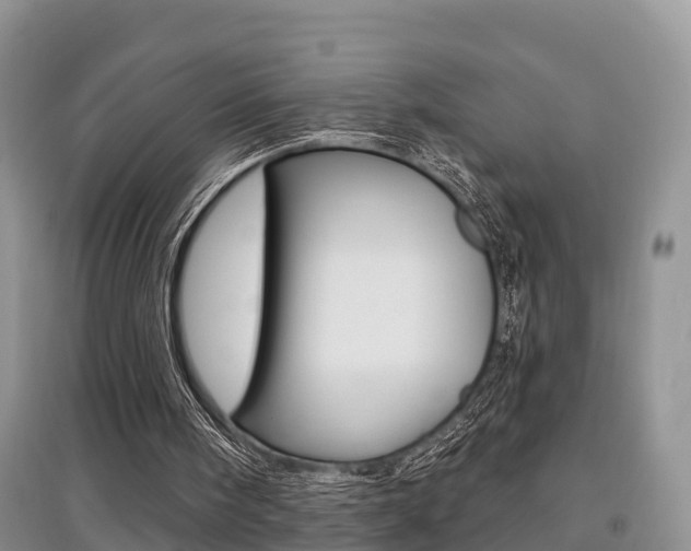 X0000097910098200803141038