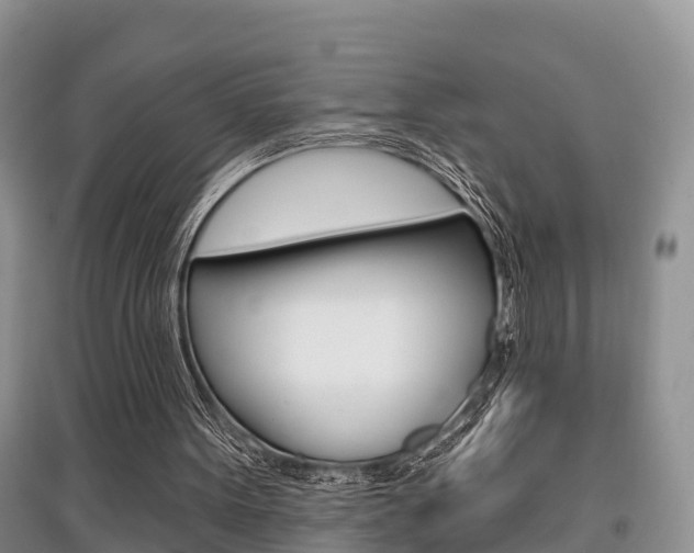 X0000097910099200803141038