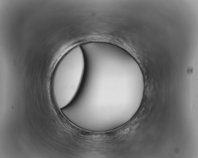 X0000097910103200803141038