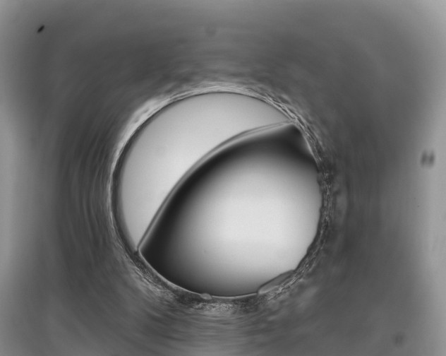 X0000097910104200803141038