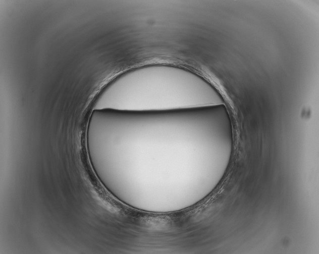 X0000097910106200803141038