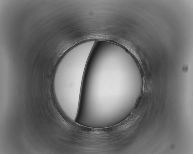 X0000097910109200803141038