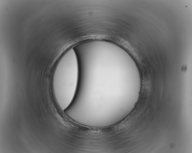 X0000097910110200803141038