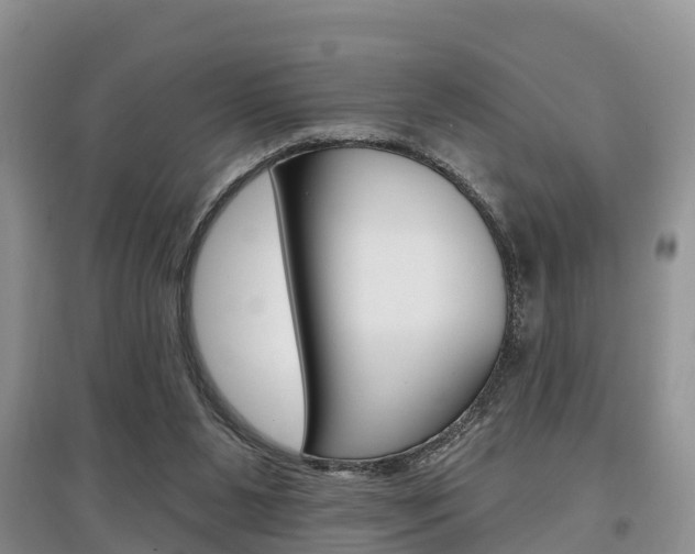X0000097910111200803141038