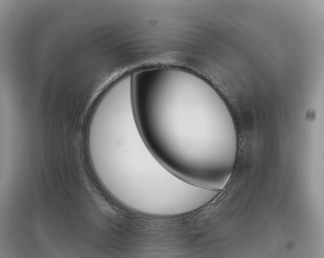 X0000097910112200803141038