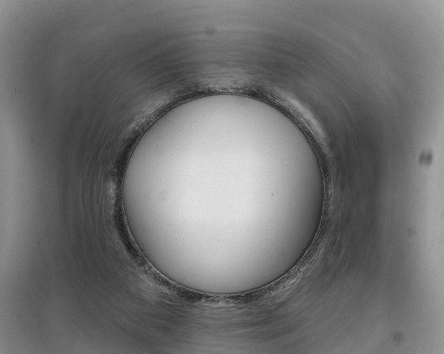 X0000097910113200803141038
