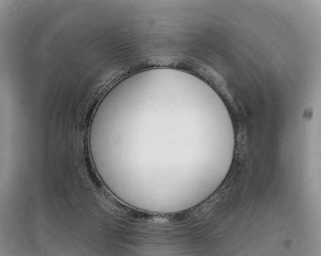 X0000097910114200803141038
