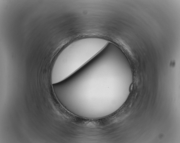 X0000097910115200803141038