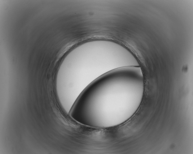 X0000097910116200803141038