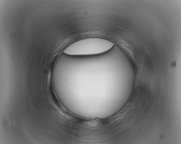 X0000097910118200803141038