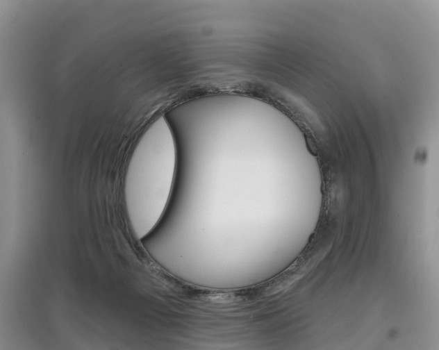 X0000097910121200803141038
