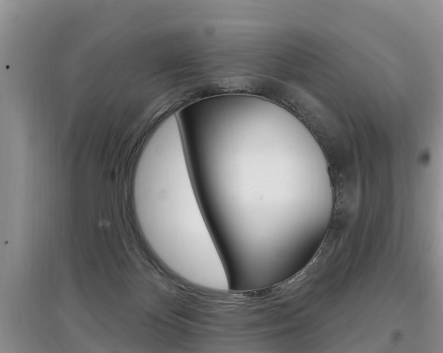 X0000097910124200803141038