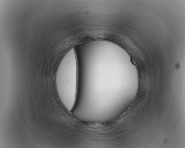 X0000097910125200803141038