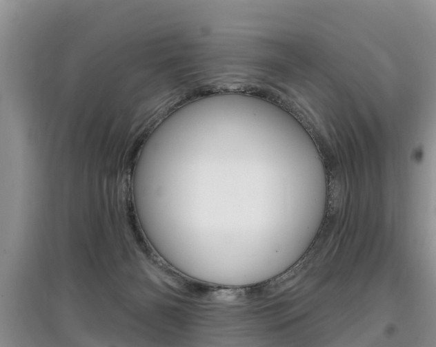 X0000097910126200803141038