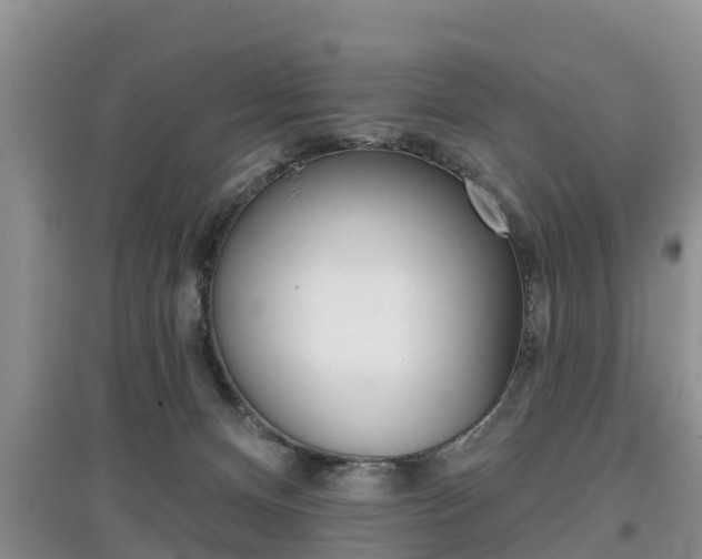 X0000097910128200803141038