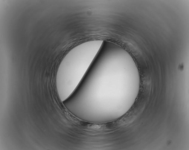 X0000097910129200803141038