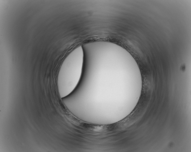 X0000097910130200803141038