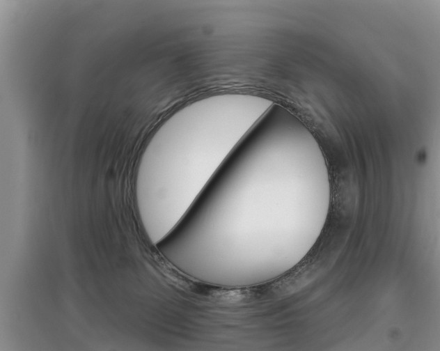 X0000097910131200803141038