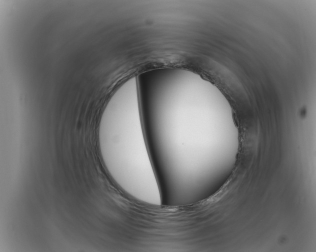 X0000097910132200803141037