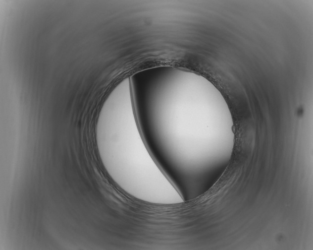 X0000097910137200803141037