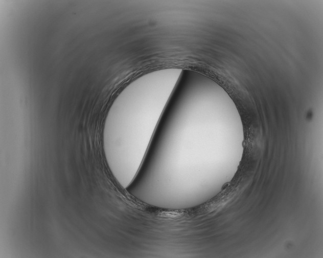 X0000097910139200803141037
