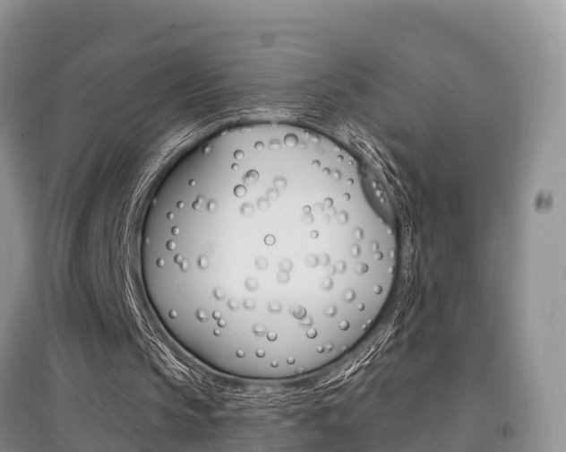 X0000097910145200803141037